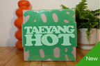 BigBang - 2008 Global Warning / Taeyang Hot 1st Live Concert (Green Edition)