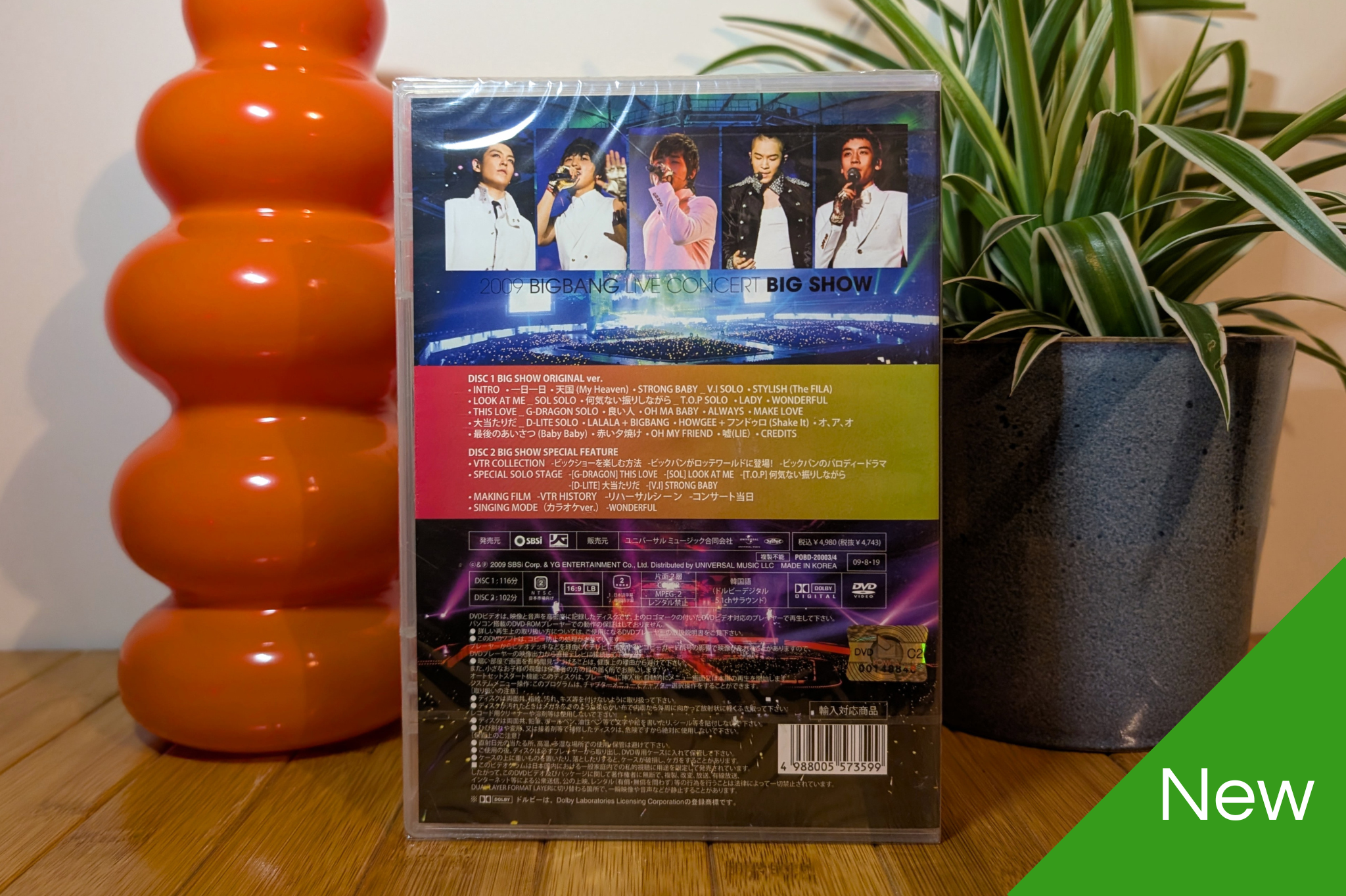 BigBang - 2009 Live Concert Big Show (Japanese Standard DVD)