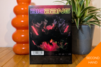 BigBang - Stand Up Tour 2008 (DVD)