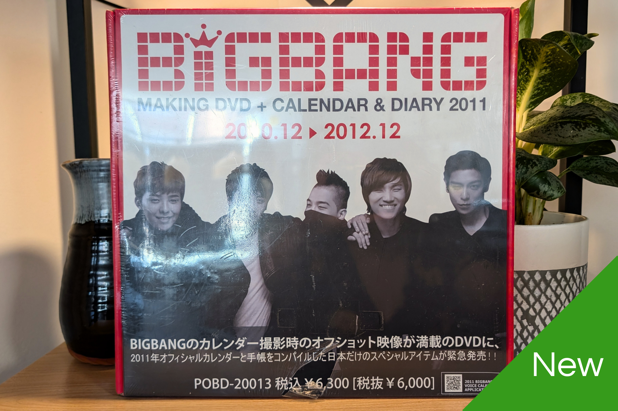 BigBang - YG Making of 2011 [DVD+Calendar+Diary]