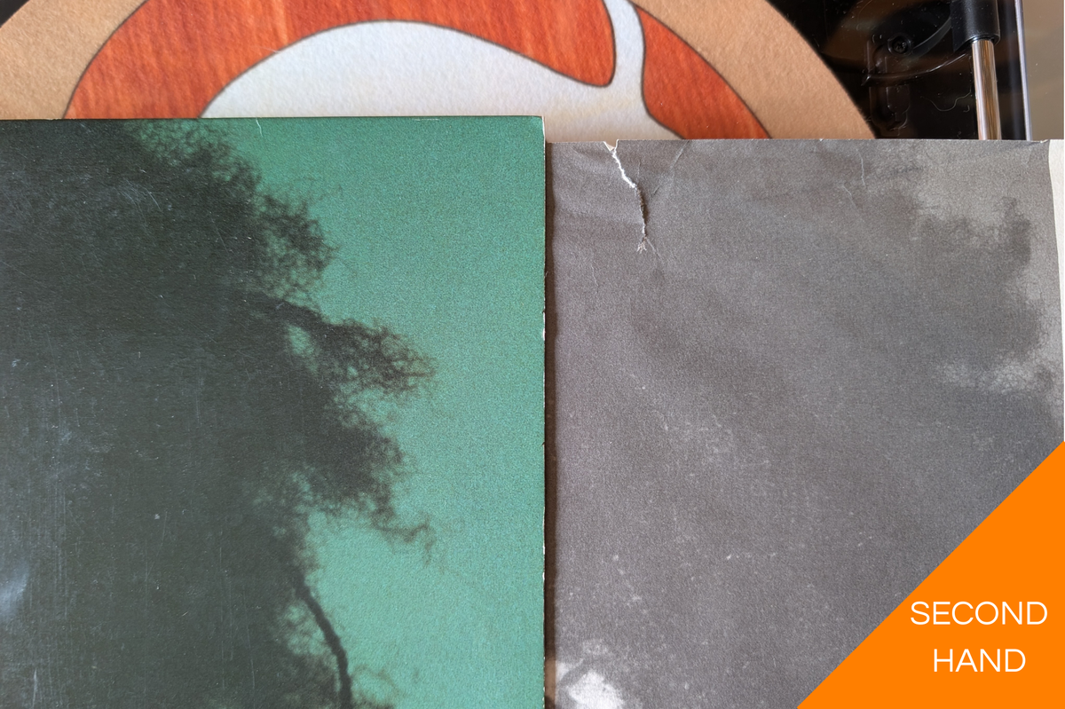 Bird - 空の瞳 (12" Vinyl Single)