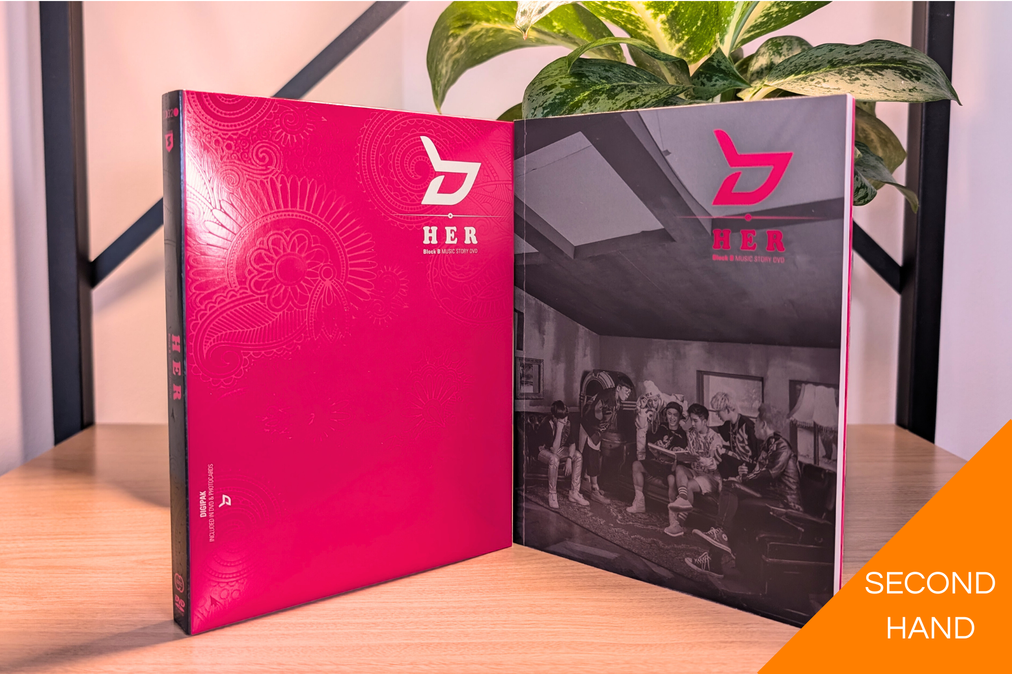 Block B - Her Music Story [DVD]