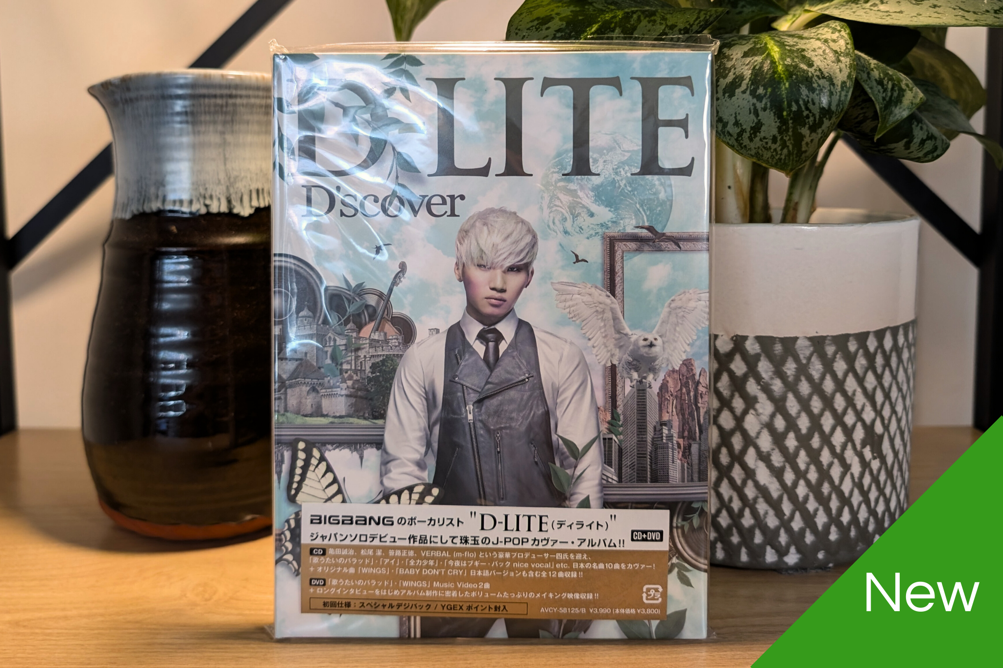 D-Lite - D'scover [CD+DVD]