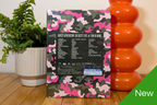 Girls' generation - The Best Live at Tokyo Dome 2014 (Blu-Ray)