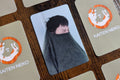 G-Dragon - 1st Fam Kit [Petals of Love] Photocard