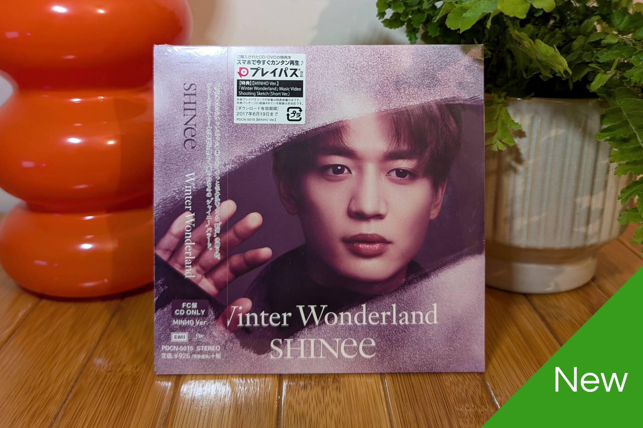 SHINee - Winter Wonderland (Fanclub Member Versions)