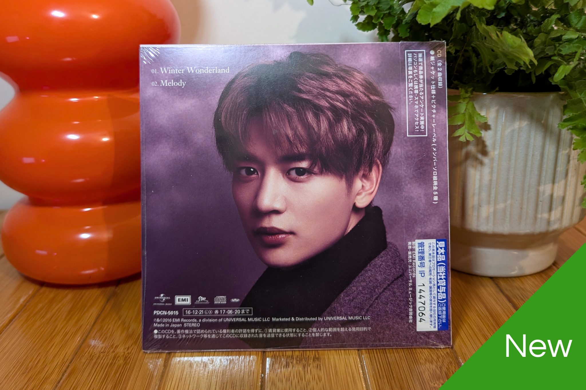 SHINee - Winter Wonderland (Fanclub Member Versions)