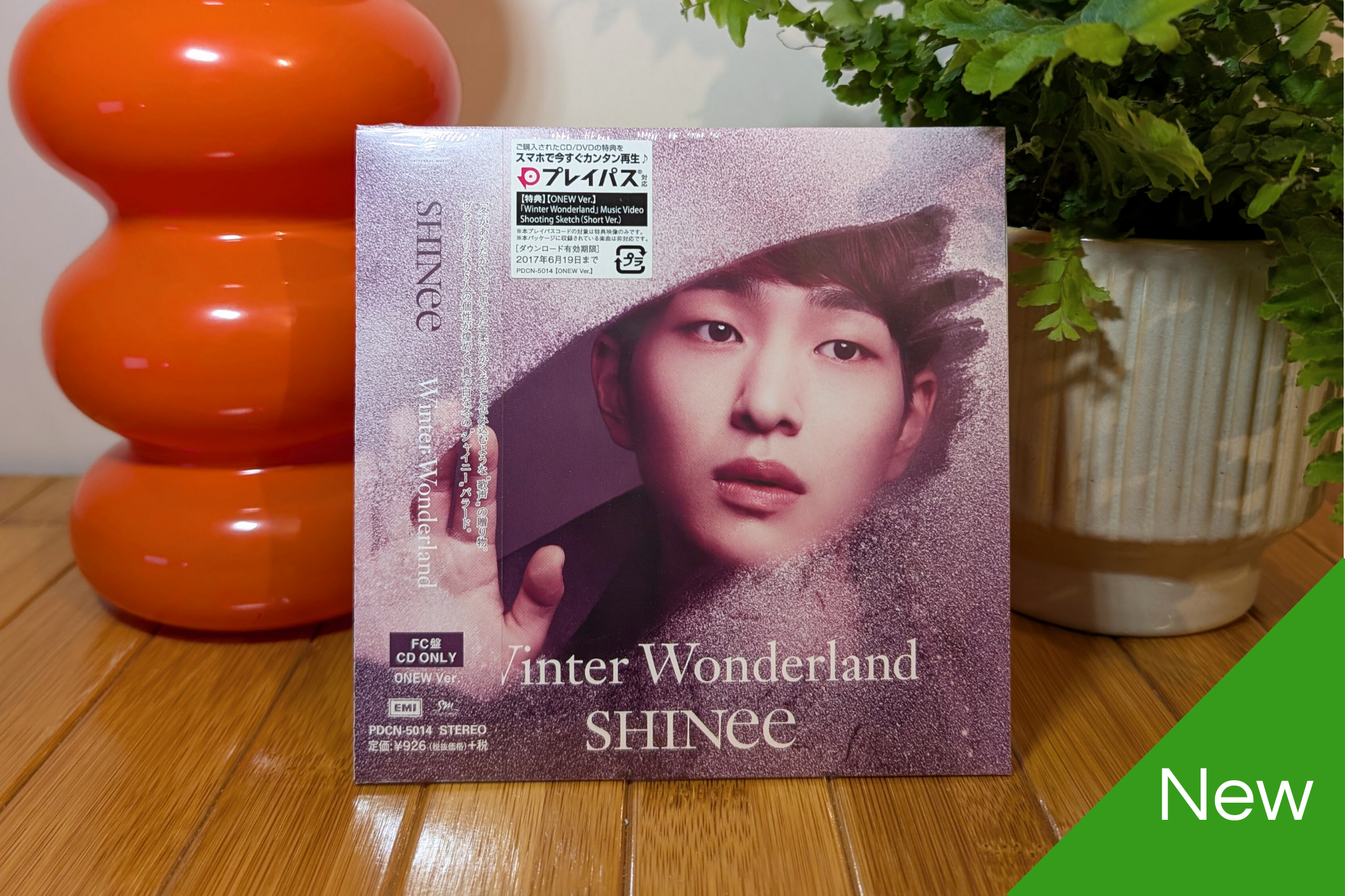 SHINee - Winter Wonderland (Fanclub Member Versions)