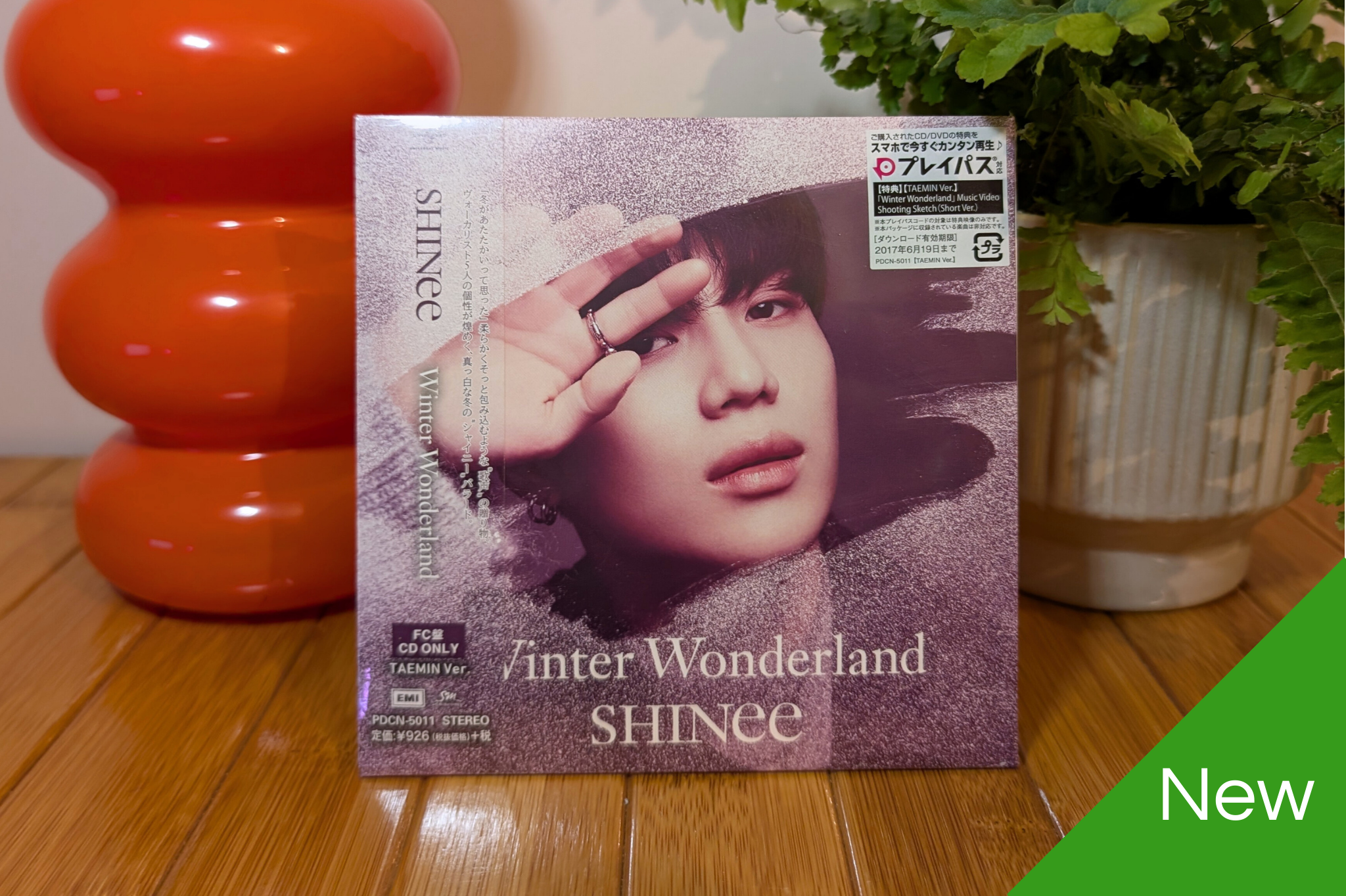 SHINee - Winter Wonderland (Fanclub Member Versions)