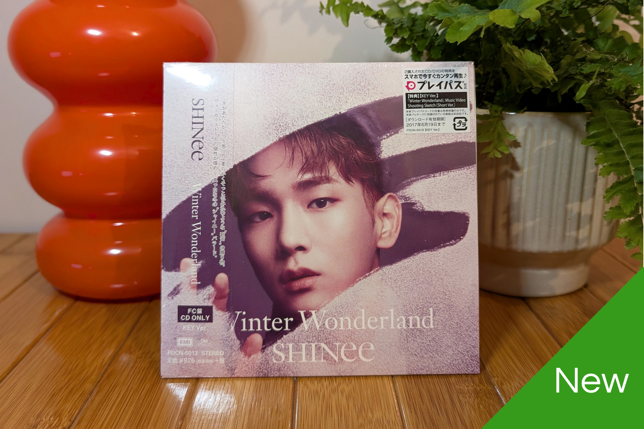 SHINee - Winter Wonderland (Fanclub Member Versions)