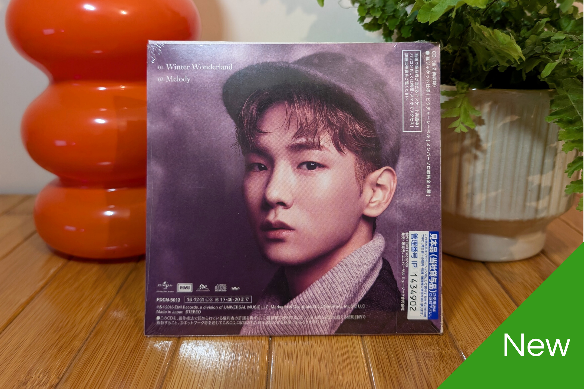 SHINee - Winter Wonderland (Fanclub Member Versions)