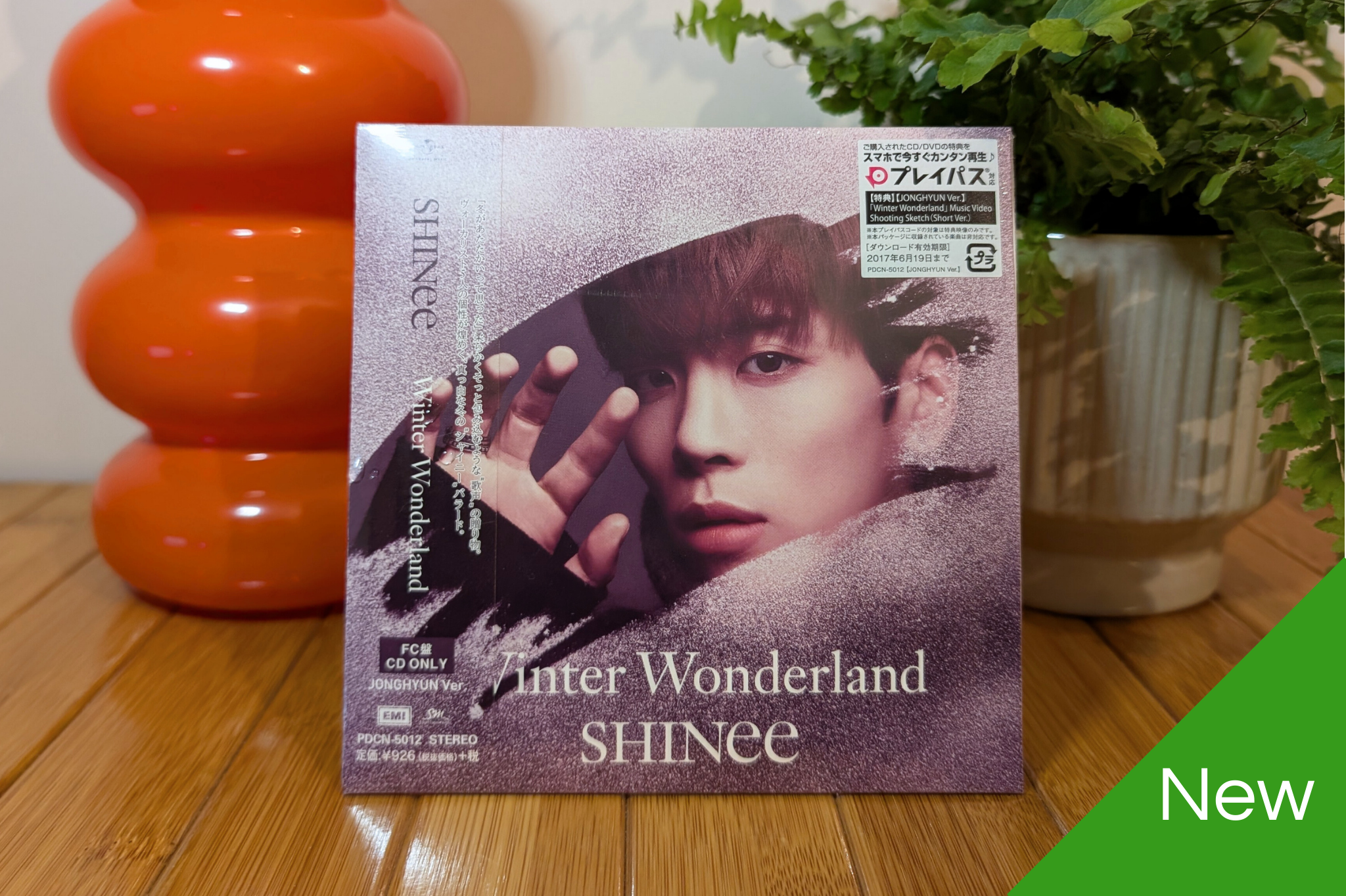 SHINee - Winter Wonderland (Fanclub Member Versions)