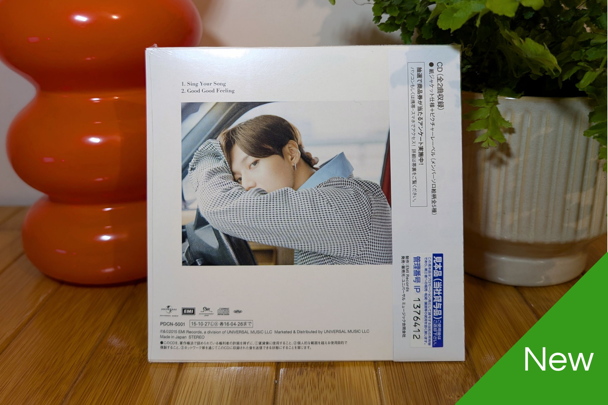 SHINee - Sing Your Song (Fanclub Member Versions)