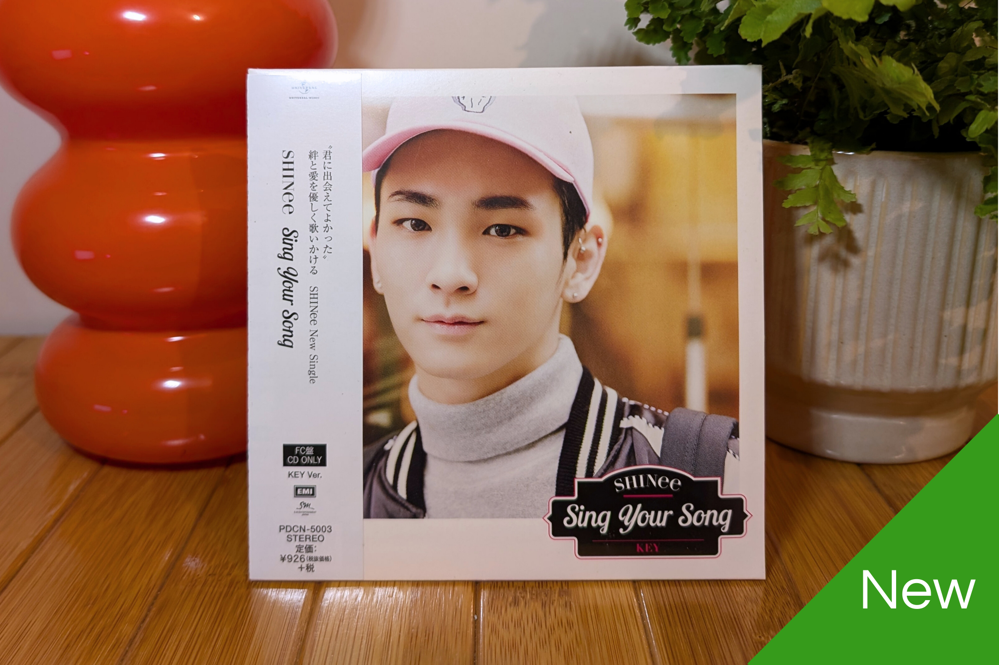 SHINee - Sing Your Song (Fanclub Member Versions)