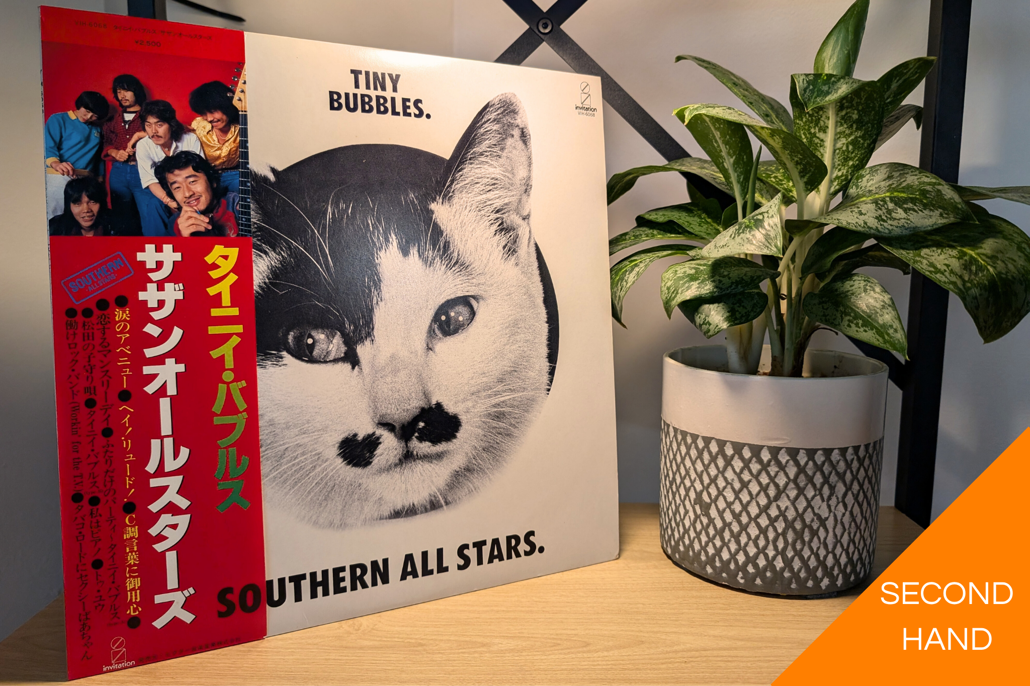 Southern All Stars - Tiny Bubbles [LP]