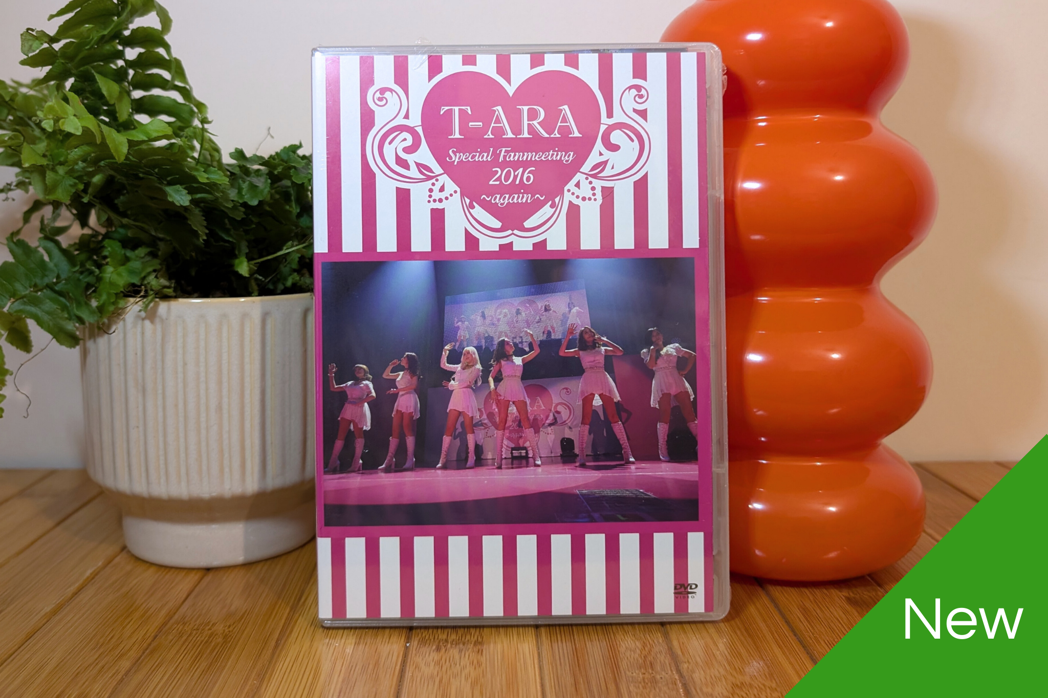 T-ara - Special Fanmeeting 2016 -Again- (Regular DVD Version)