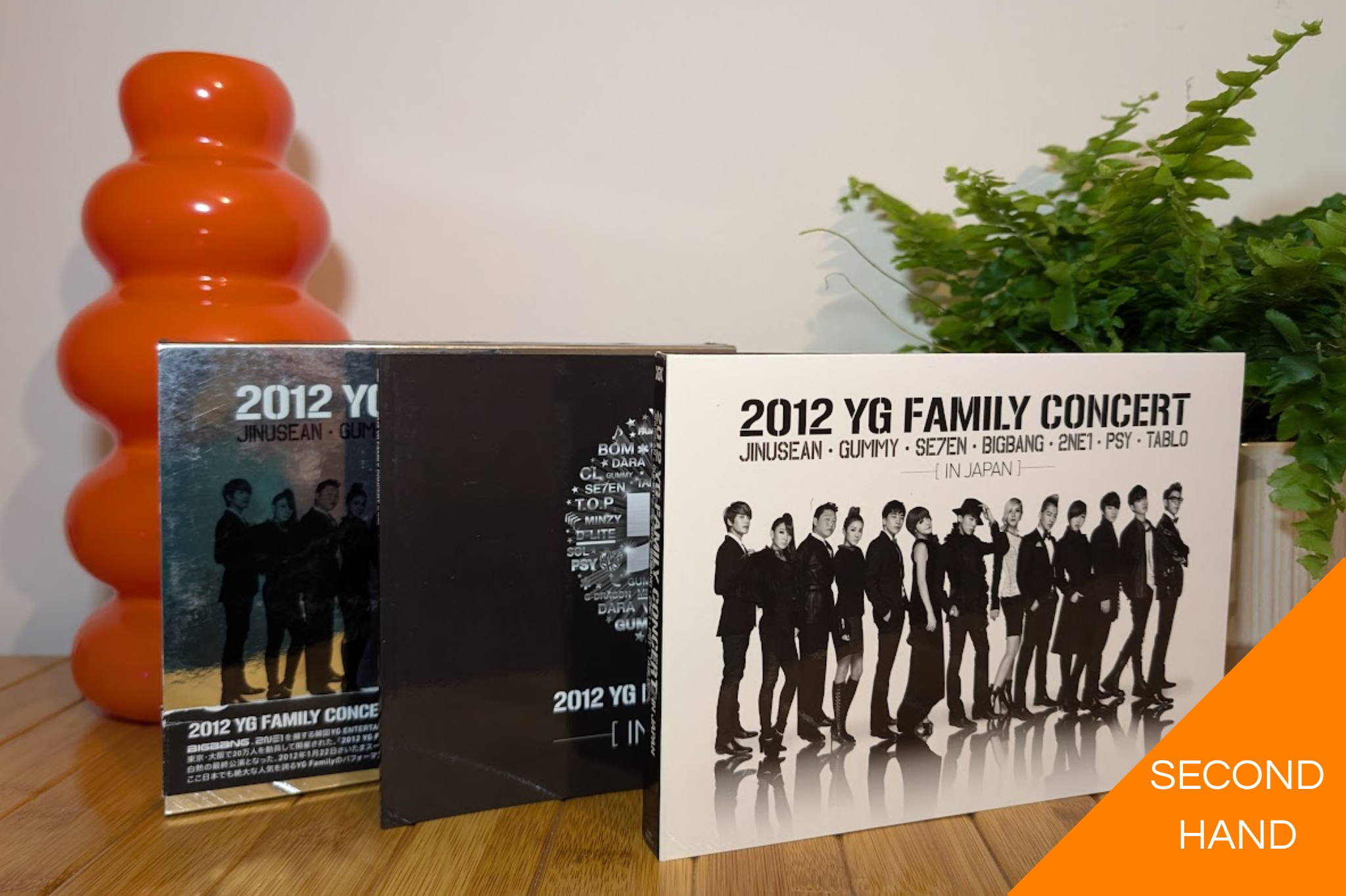 YG Family Concert in Japan (DVD)