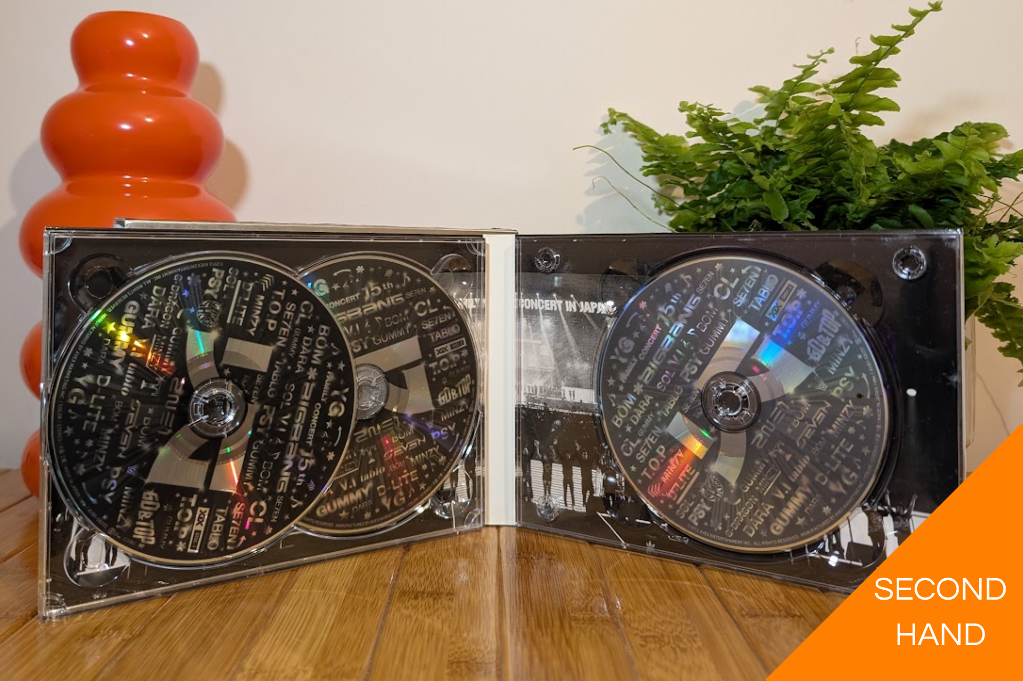 YG Family Concert in Japan (DVD)